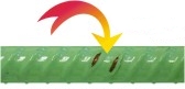 Epoxy Coated Rebar